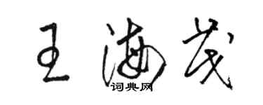 駱恆光王海茂草書個性簽名怎么寫