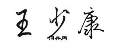 駱恆光王少康行書個性簽名怎么寫