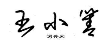 朱錫榮王小箐草書個性簽名怎么寫