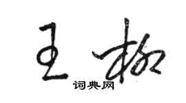 駱恆光王柳草書個性簽名怎么寫