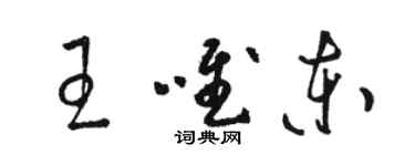 駱恆光王唯東草書個性簽名怎么寫