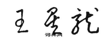 駱恆光王星龍草書個性簽名怎么寫