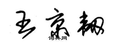 朱錫榮王京韌草書個性簽名怎么寫