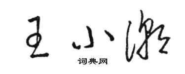 駱恆光王小潮草書個性簽名怎么寫