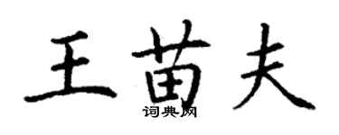 丁謙王苗夫楷書個性簽名怎么寫