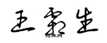 曾慶福王霜生草書個性簽名怎么寫