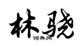 胡問遂林驍行書個性簽名怎么寫