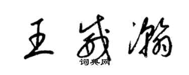 梁錦英王威瀚草書個性簽名怎么寫