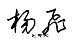 朱錫榮楊飛草書個性簽名怎么寫