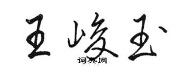 駱恆光王峻玉行書個性簽名怎么寫