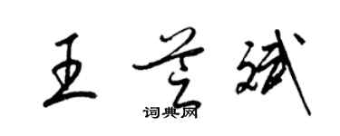 梁錦英王芝斌草書個性簽名怎么寫