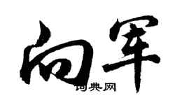 胡問遂向軍行書個性簽名怎么寫