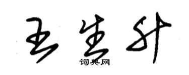 朱錫榮王生升草書個性簽名怎么寫