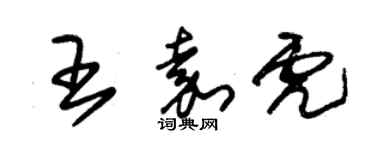 朱錫榮王嘉虎草書個性簽名怎么寫