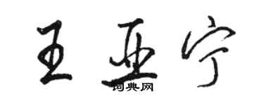 駱恆光王亞寧行書個性簽名怎么寫