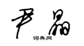 朱錫榮尹晶草書個性簽名怎么寫