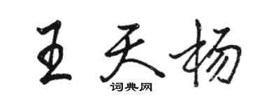 駱恆光王天楊行書個性簽名怎么寫