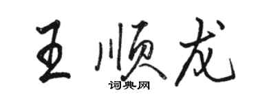 駱恆光王順龍行書個性簽名怎么寫