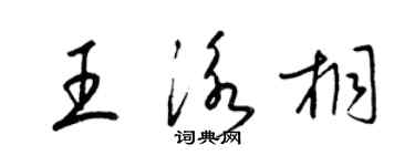 梁錦英王泳桐草書個性簽名怎么寫