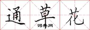 田英章通草花楷書怎么寫