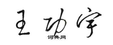 駱恆光王功宇草書個性簽名怎么寫