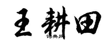 胡問遂王耕田行書個性簽名怎么寫