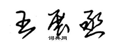 朱錫榮王展丞草書個性簽名怎么寫