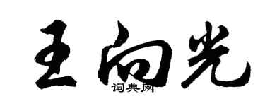 胡問遂王向光行書個性簽名怎么寫