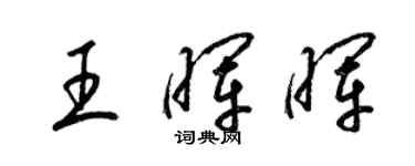 梁錦英王暉暉草書個性簽名怎么寫