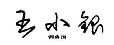 朱錫榮王小銀草書個性簽名怎么寫