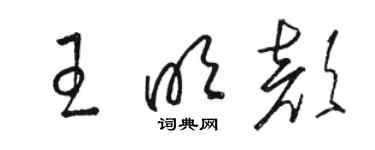 駱恆光王明顏草書個性簽名怎么寫