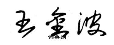 朱錫榮王金波草書個性簽名怎么寫