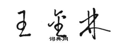 駱恆光王金林草書個性簽名怎么寫