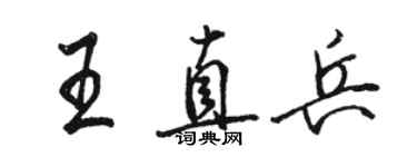 駱恆光王直兵行書個性簽名怎么寫