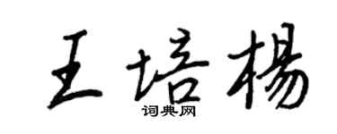 王正良王培楊行書個性簽名怎么寫