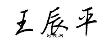 王正良王辰平行書個性簽名怎么寫