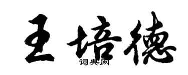 胡問遂王培德行書個性簽名怎么寫