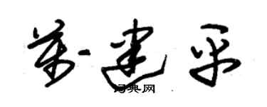 朱錫榮萬建平草書個性簽名怎么寫