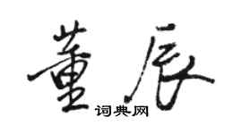 駱恆光董辰行書個性簽名怎么寫