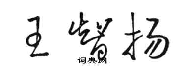 駱恆光王智揚草書個性簽名怎么寫