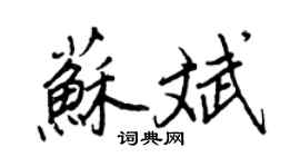 王正良蘇斌行書個性簽名怎么寫