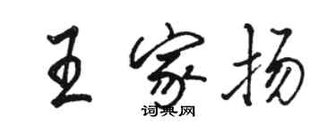 駱恆光王家揚行書個性簽名怎么寫