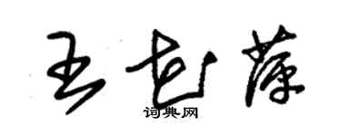 朱錫榮王花萍草書個性簽名怎么寫