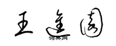 梁錦英王進園草書個性簽名怎么寫