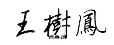王正良王樹鳳行書個性簽名怎么寫
