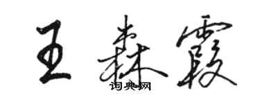 駱恆光王森霞行書個性簽名怎么寫