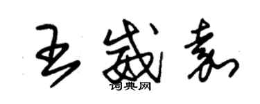 朱錫榮王威嘉草書個性簽名怎么寫