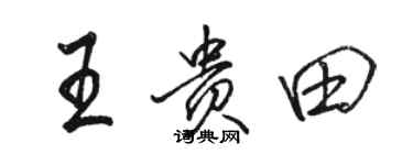 駱恆光王貴田行書個性簽名怎么寫