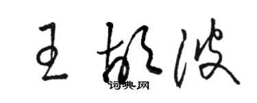 駱恆光王胡波草書個性簽名怎么寫