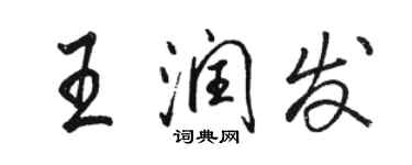 駱恆光王潤發行書個性簽名怎么寫